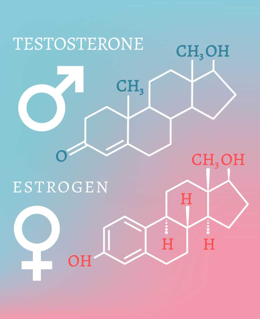 home bottom hormones