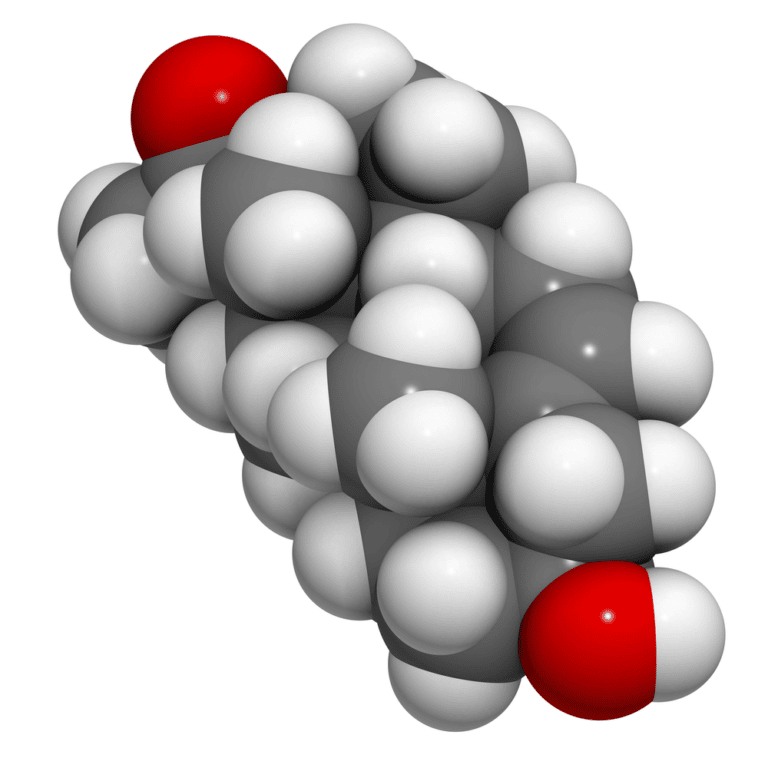 Is Pregnenolone the Same As DHEA?